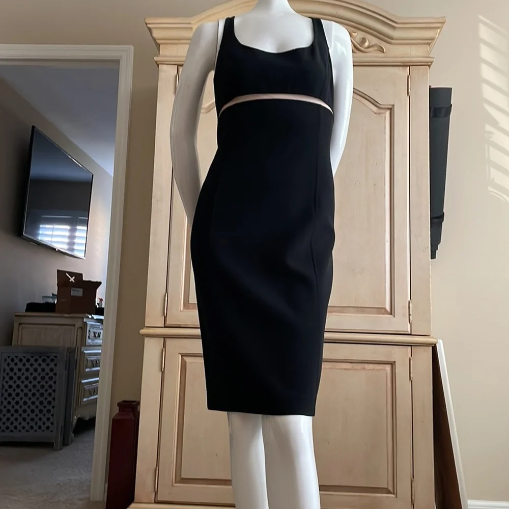 MICHAEL KORS COLLECTION Scoop Neck Empire Waist Nude Mesh Cut Out Pencil Dress 8 - Picture 4 of 12